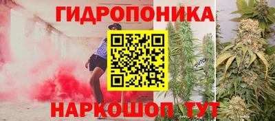 крисы Бугуруслан