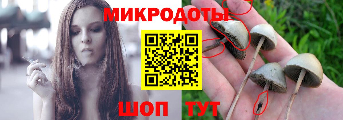 Пенза  Галлюциногенные грибы мицелий  Галлюциногенные грибы Psilocybine cubensis  Вход с VPN 